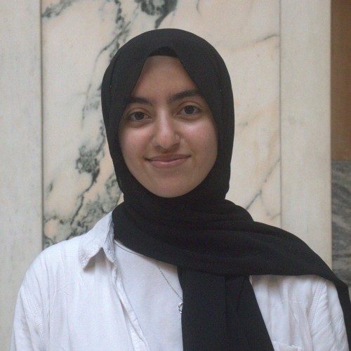 Hafsa Gaballa
