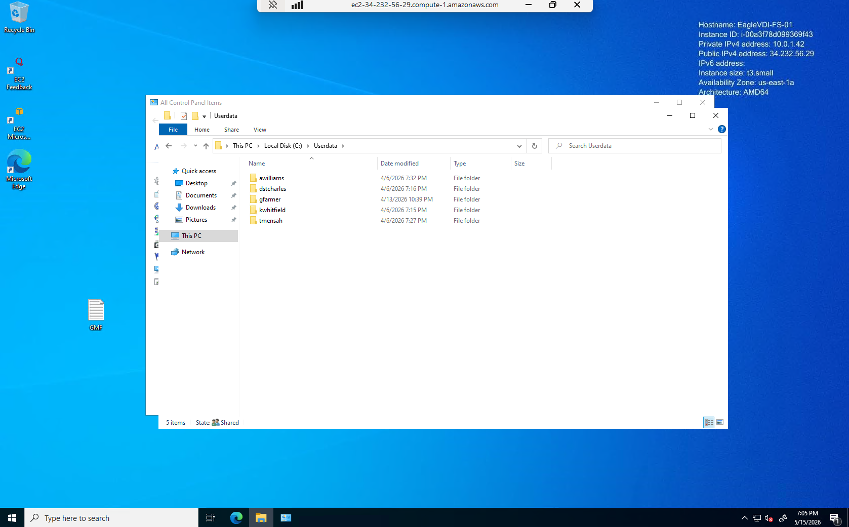 Eagle VDI screenshot 1