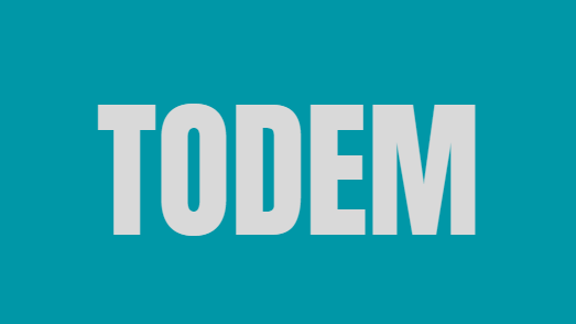 TODEM (Tender Offer Data Extraction Model) logo