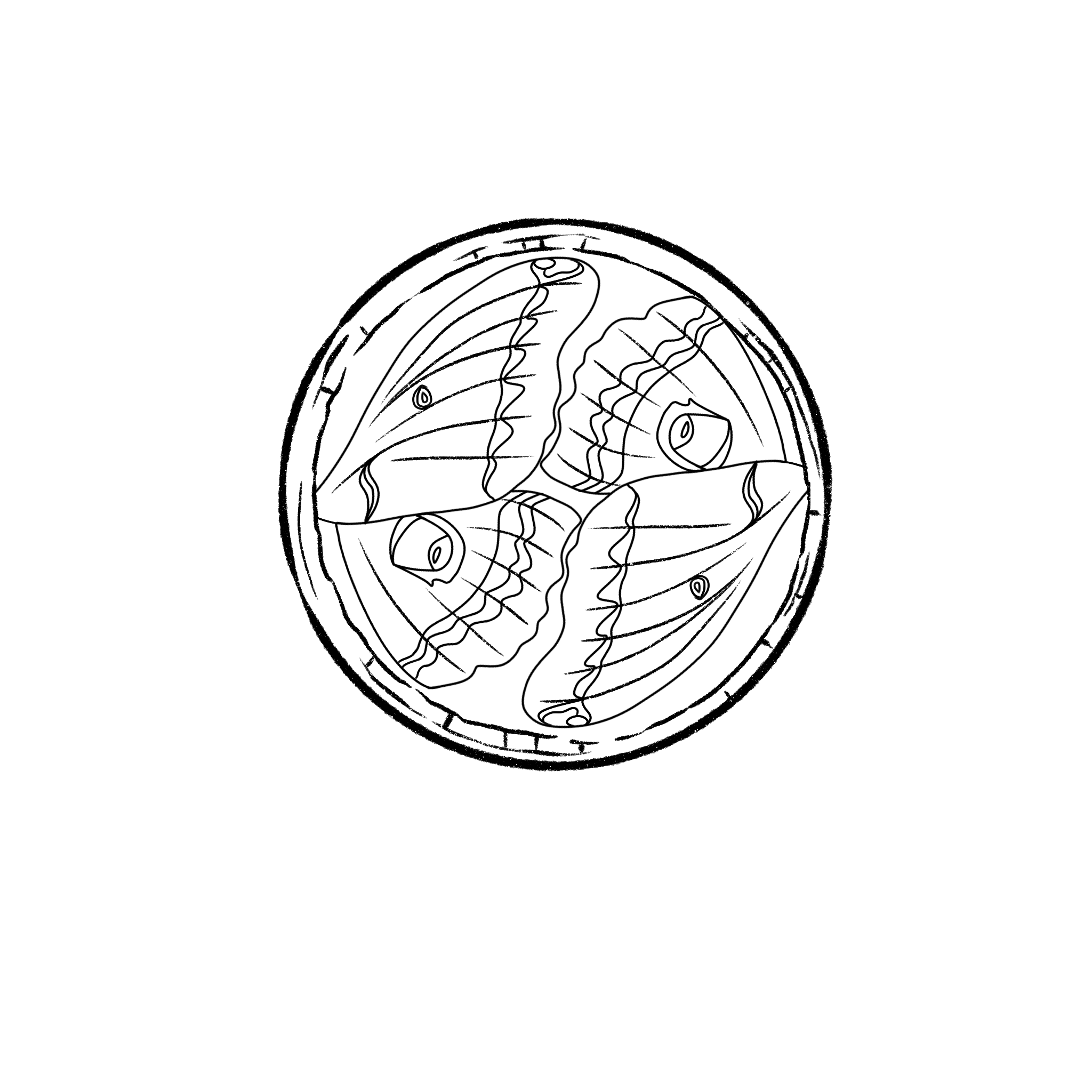 Spiral Peak logo