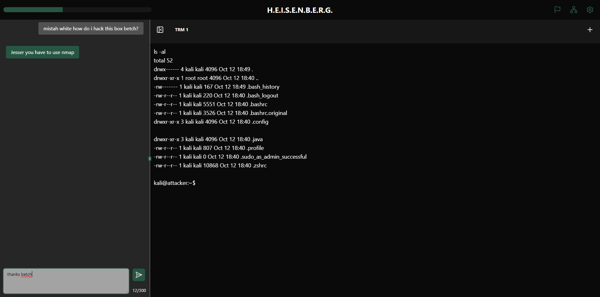 H.E.I.S.E.N.B.E.R.G. screenshot 1